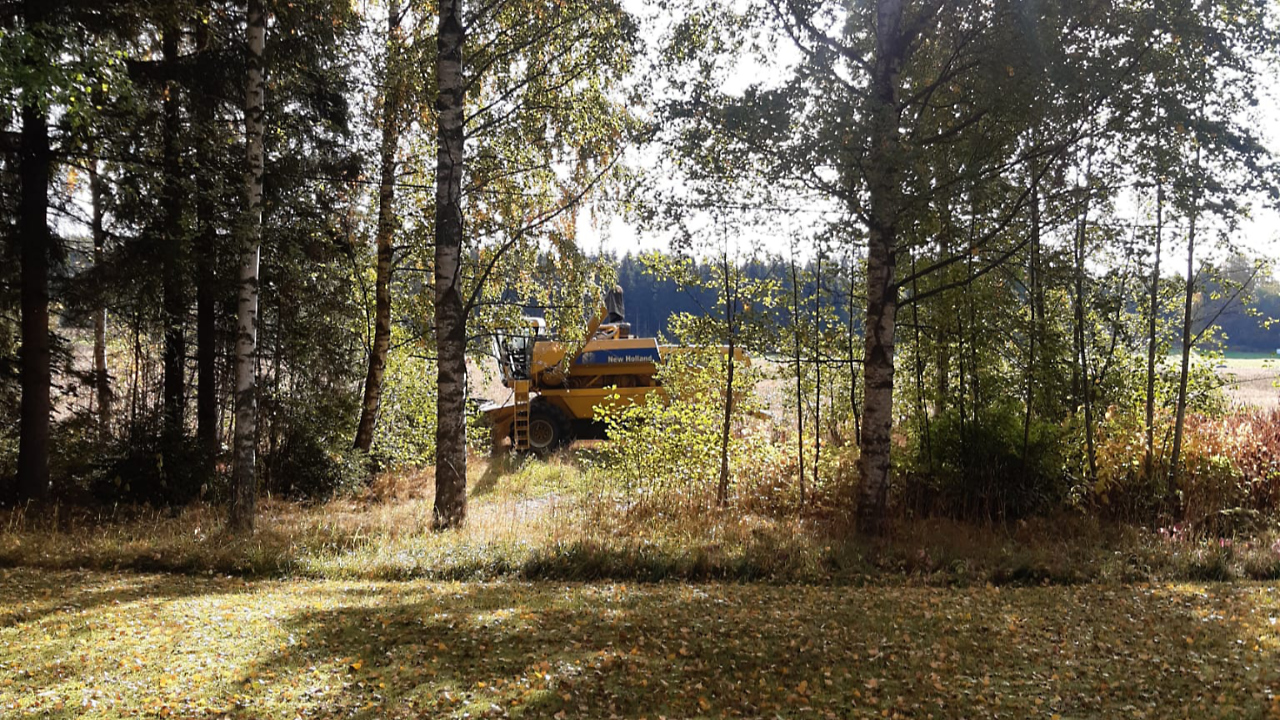 Leikkuupuimuri pellonlaidalla.